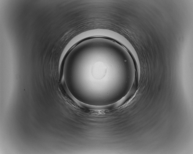 X0000116390140200912021547