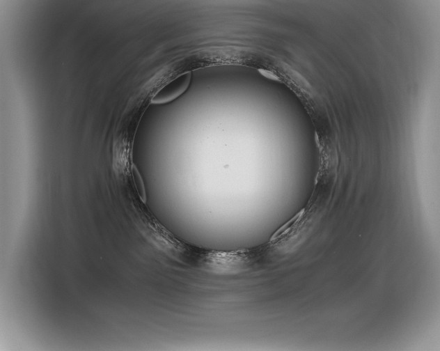 X0000116390141200912021547