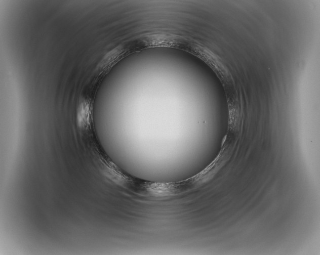 X0000116390142200912021547