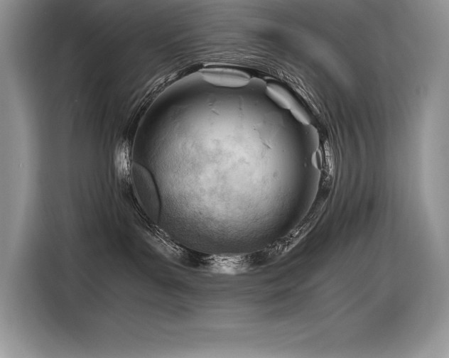 X0000116390143200912021547