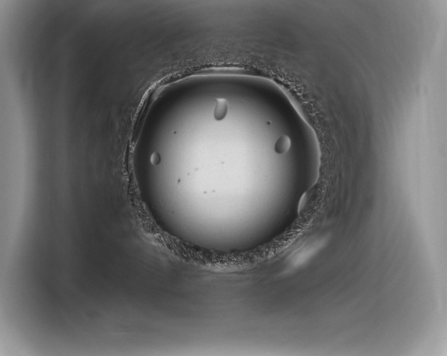 X0000116390144200912021547