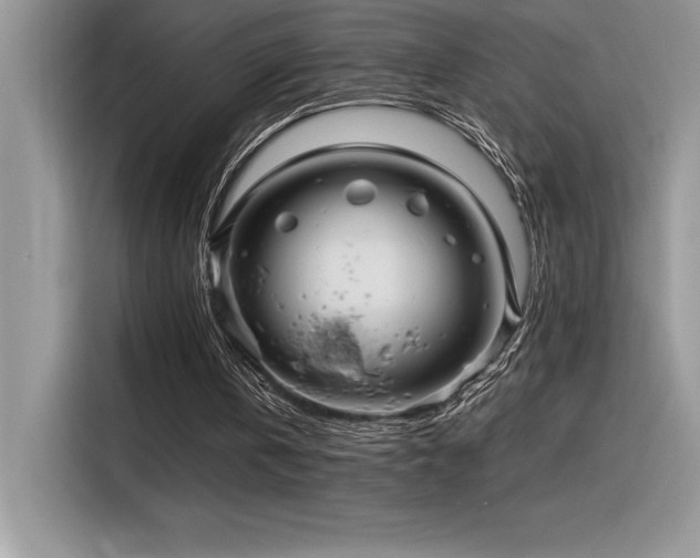 X0000116390146200912021546
