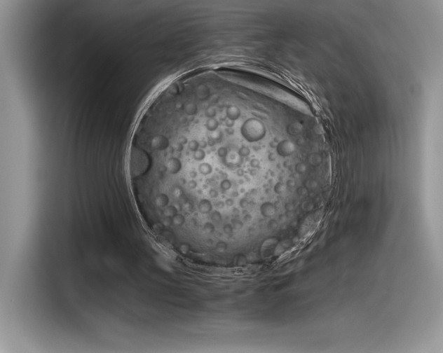 X0000116390147200912021546
