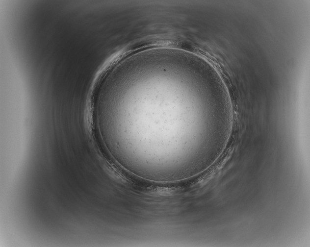 X0000116390149200912021546