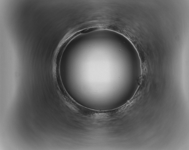 X0000116390150200912021546