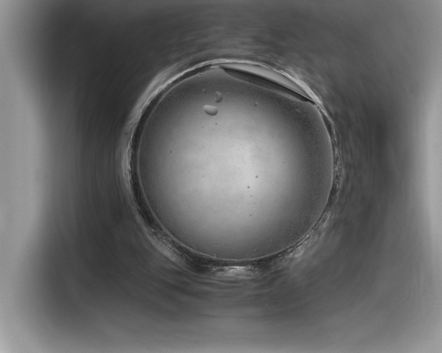 X0000116390151200912021546