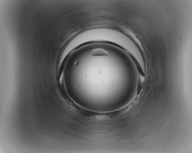 X0000116390154200912021546