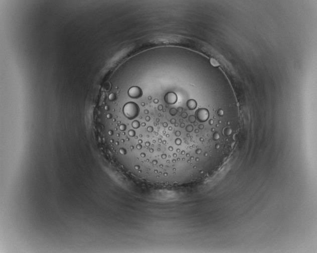 X0000116390159200912021547