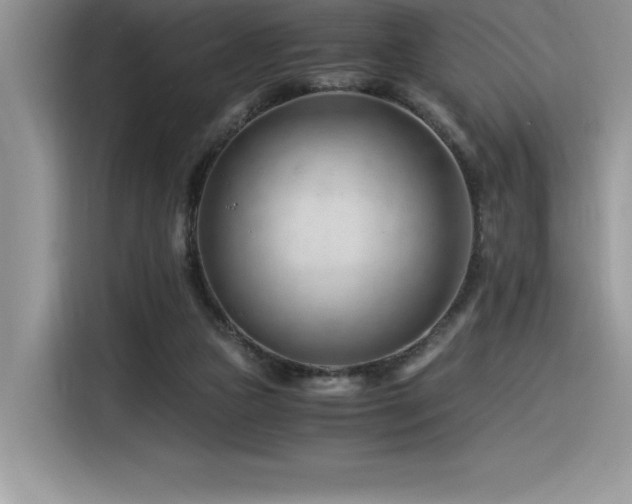 X0000116390161200912021547