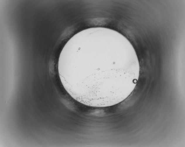 X0000116390162200912021547