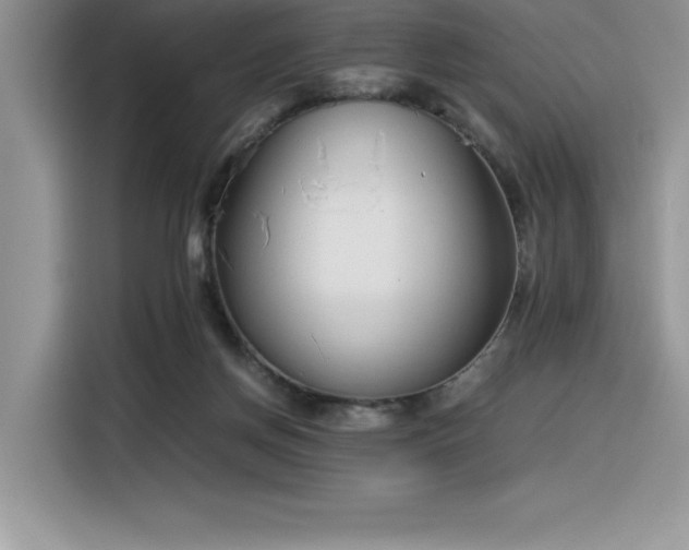 X0000116390166200912021547