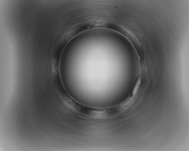 X0000116390170200912021547
