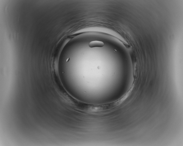 X0000116390174200912021547