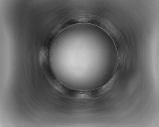 X0000116390175200912021547