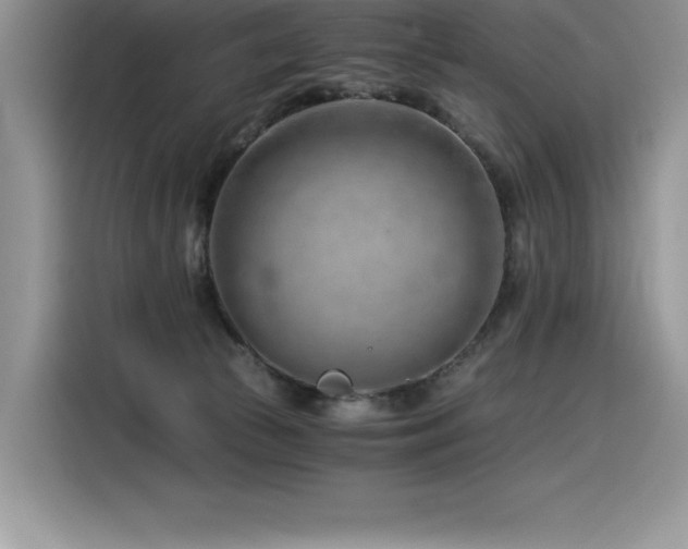 X0000116390177200912021547
