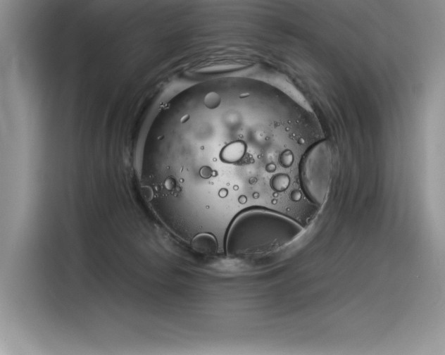 X0000116390178200912021547