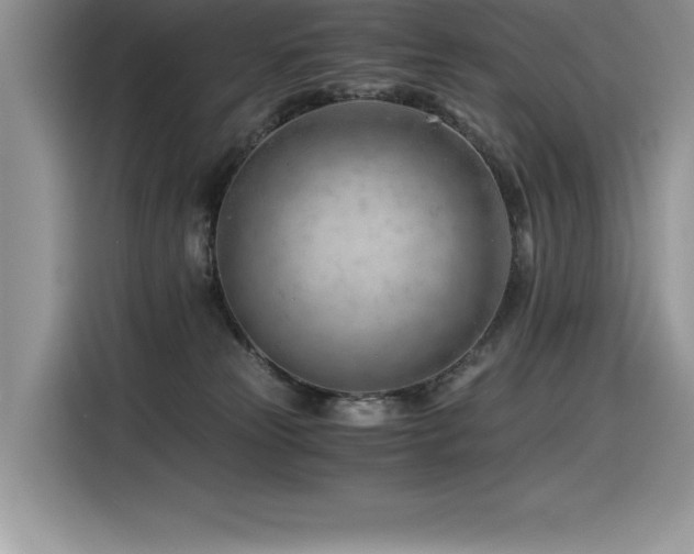 X0000116390181200912021547