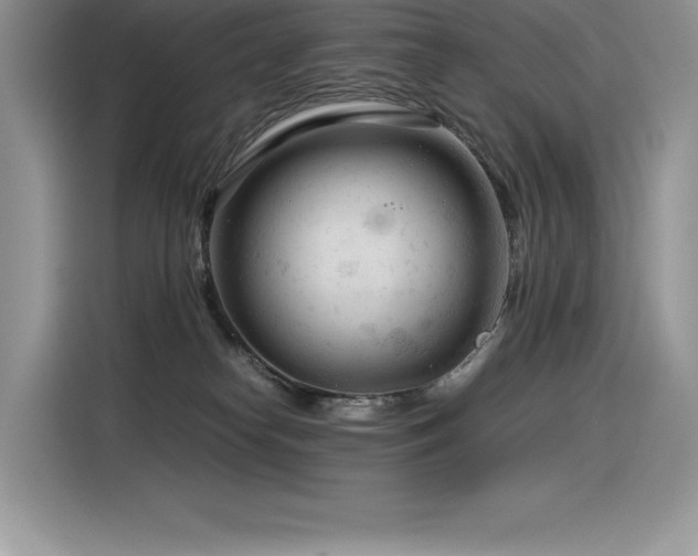 X0000116390182200912021547