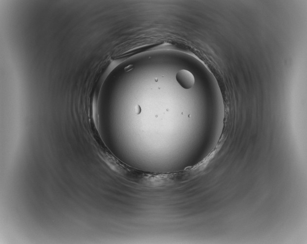 X0000116390186200912021547