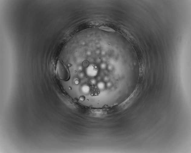 X0000116390187200912021547