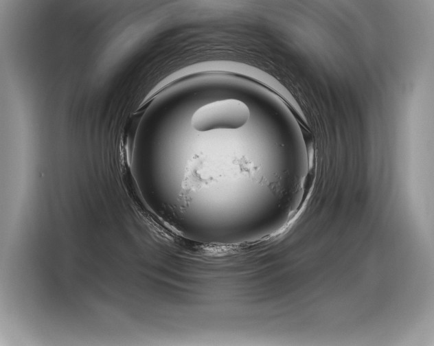 X0000116390190200912021547