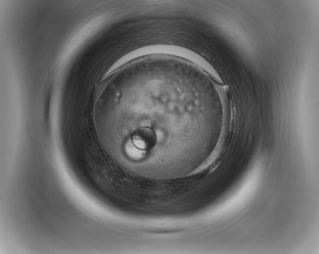 X0000116390191200912021547