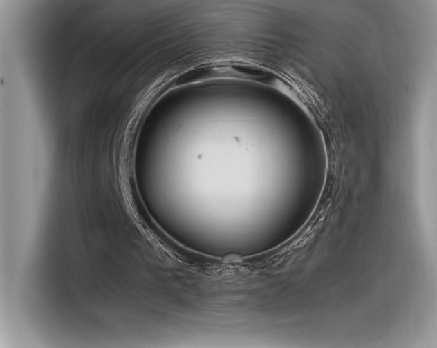 X0000116390193200912021546