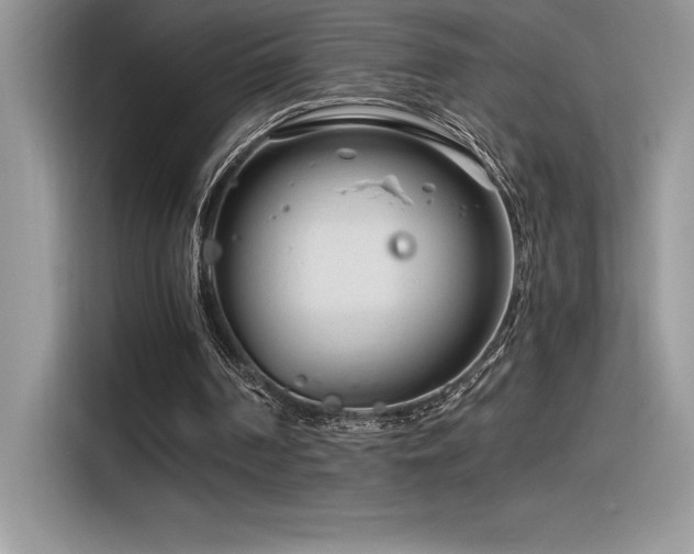 X0000116390194200912021546