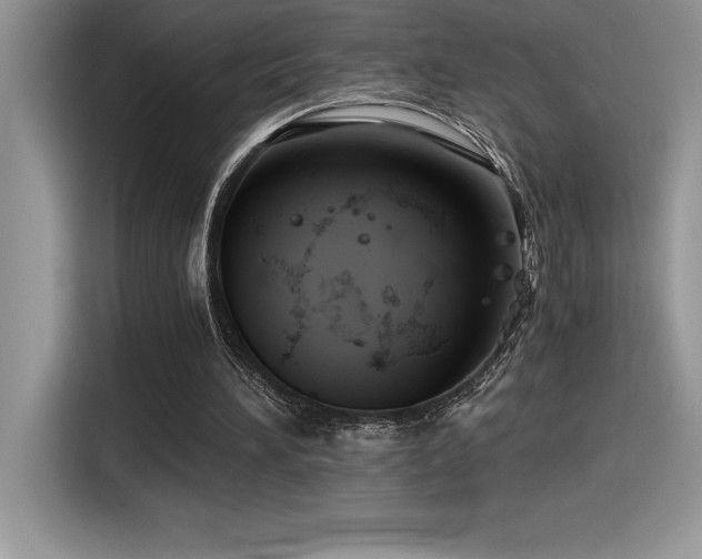 X0000116390196200912021546