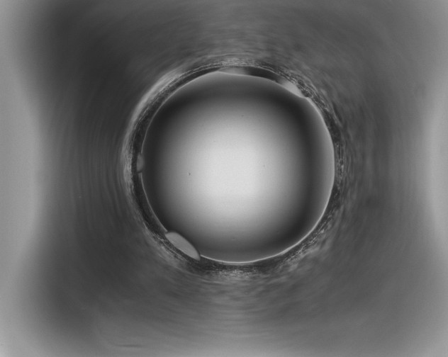 X0000116390197200912021546