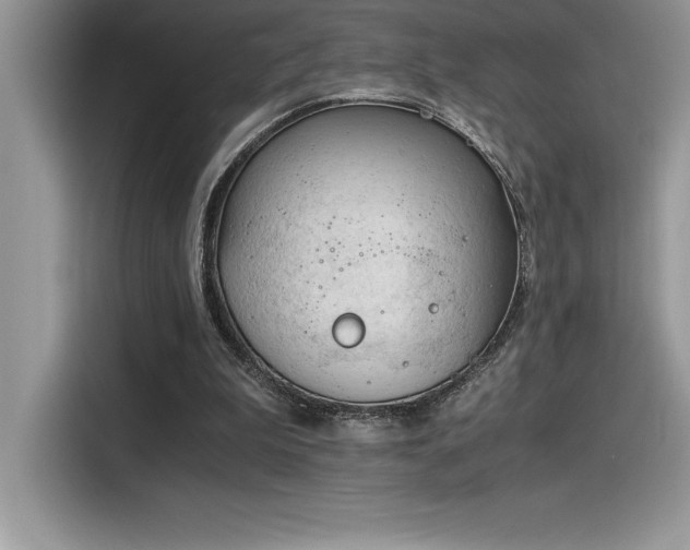 X0000116390199200912021546