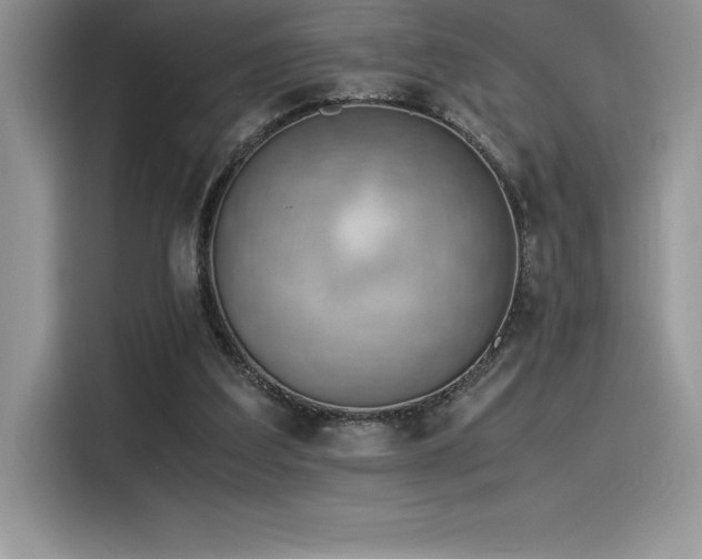 X0000116390203200912021546