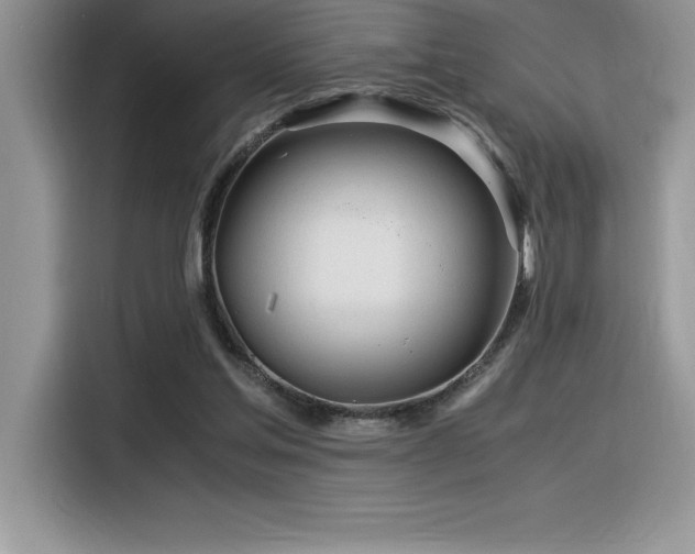 X0000116390205200912021546