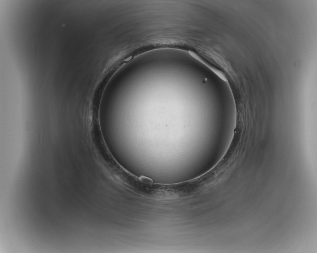 X0000116390207200912021546