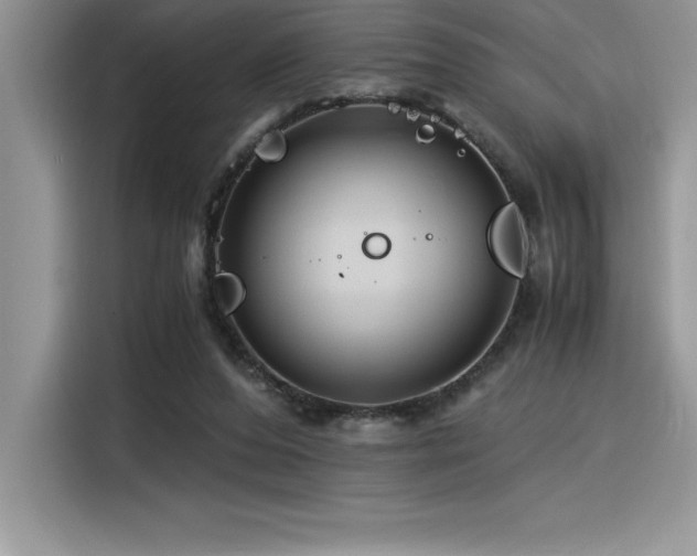 X0000116390208200912021546