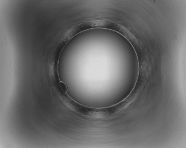 X0000116390209200912021546