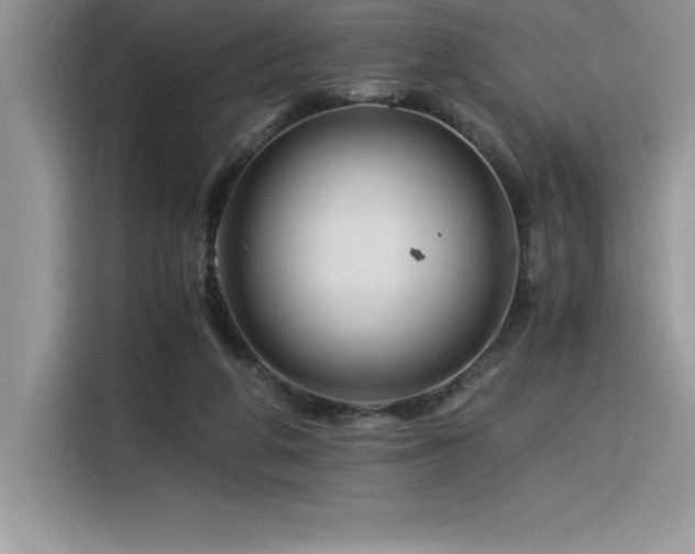 X0000116390210200912021546