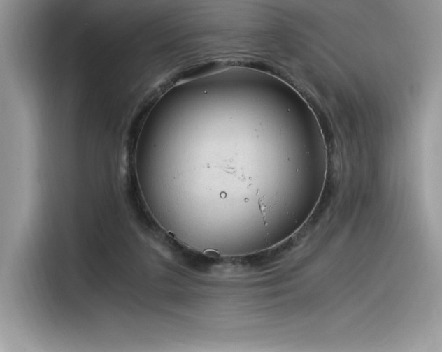 X0000116390211200912021546