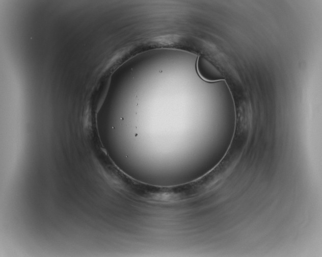 X0000116390212200912021546