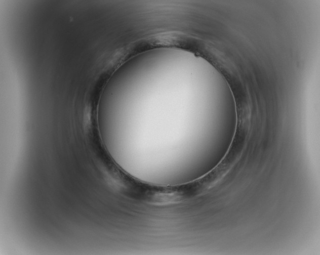 X0000116390213200912021546