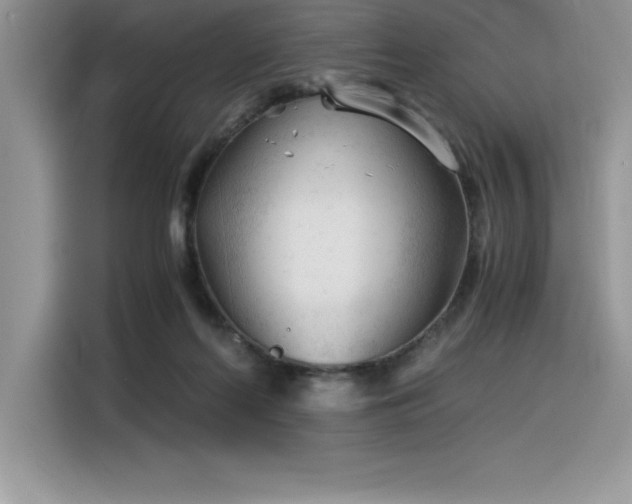X0000116390214200912021546