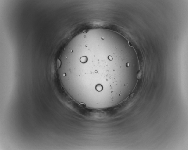 X0000116390215200912021546