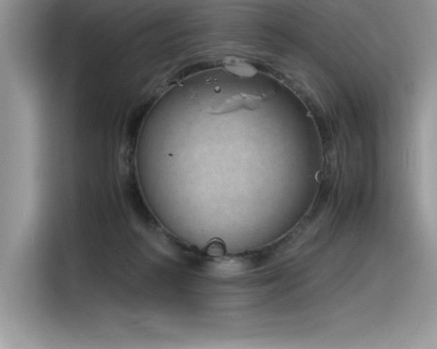 X0000116390218200912021546