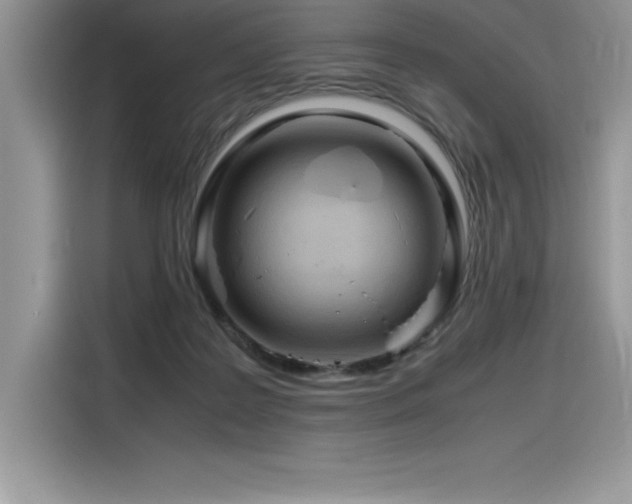 X0000116390219200912021546