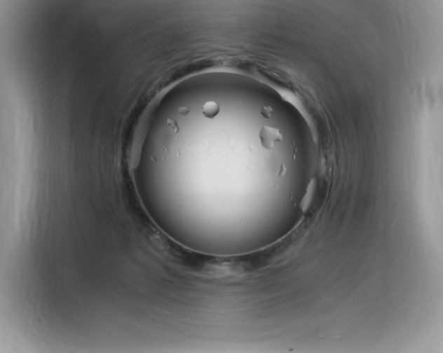 X0000116390221200912021546