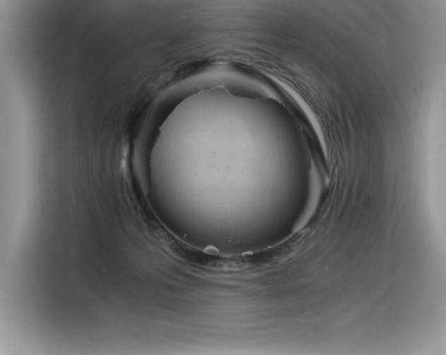 X0000116390223200912021546