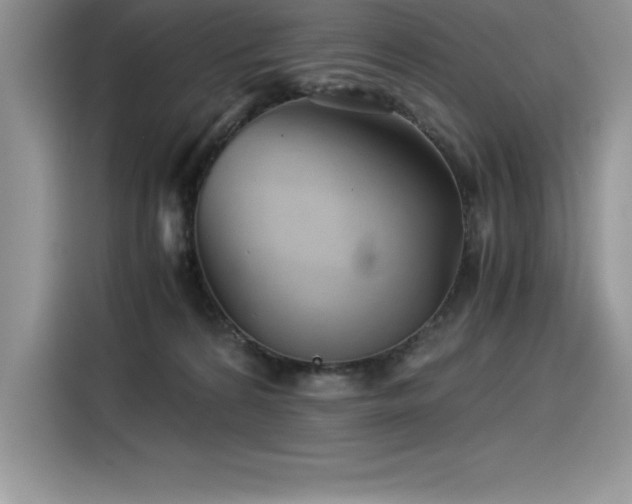 X0000116390224200912021546