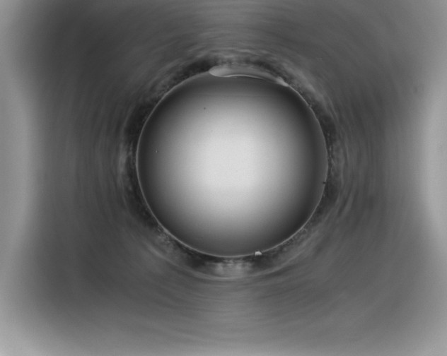 X0000116390225200912021546