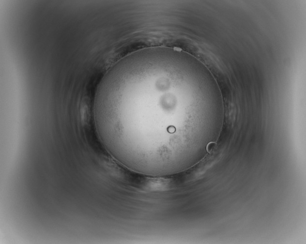 X0000116390226200912021546