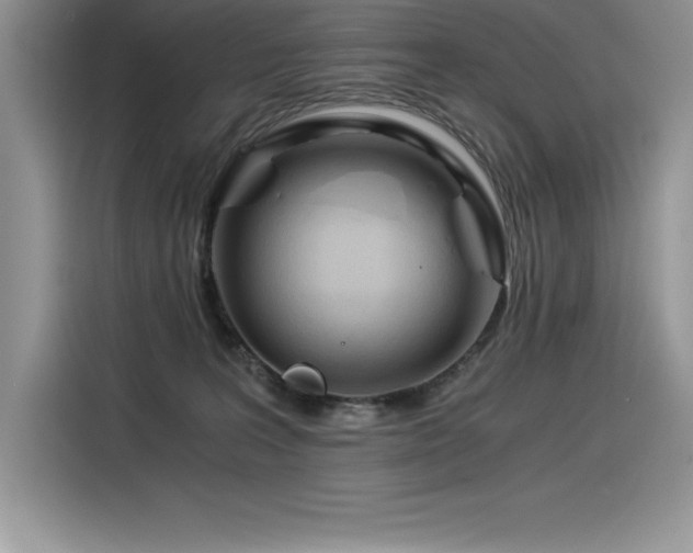 X0000116390227200912021546